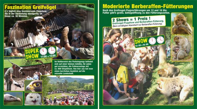 Die beiden Highlights: Flugshow, Affenfütterung im Vogelpark Steinen